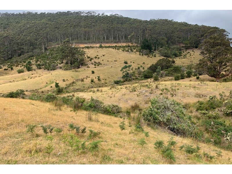 800 Stormlea Road, Highcroft TAS 7183