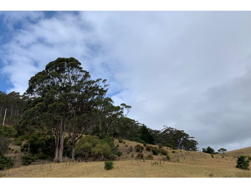 800 Stormlea Road, Highcroft TAS 7183