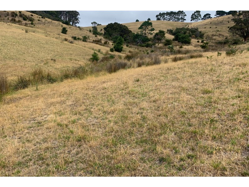 800 Stormlea Road, Highcroft TAS 7183