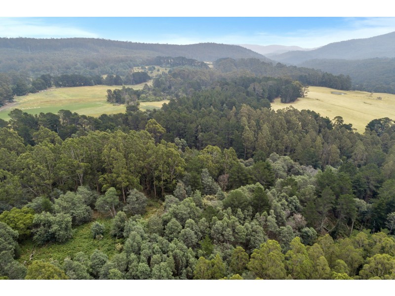 2 Robinsons Road, Highcroft TAS 7183