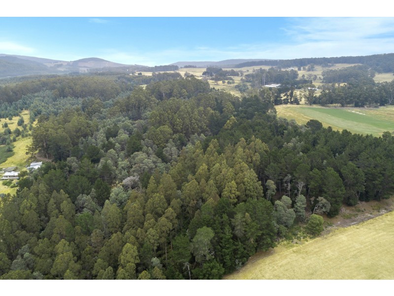 2 Robinsons Road, Highcroft TAS 7183