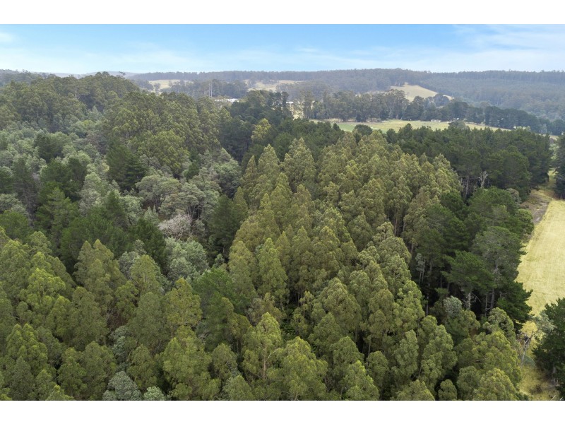 2 Robinsons Road, Highcroft TAS 7183