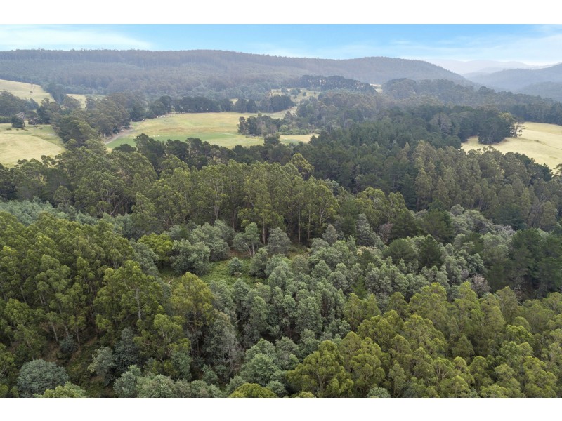 2 Robinsons Road, Highcroft TAS 7183