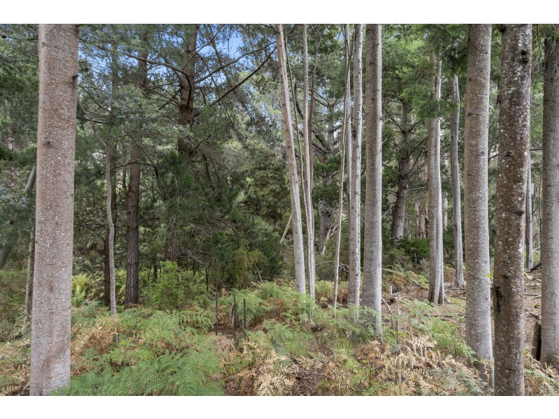 2 Robinsons Road, Highcroft TAS 7183