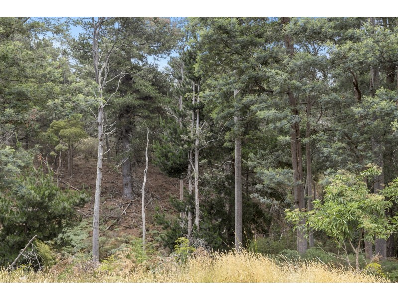 2 Robinsons Road, Highcroft TAS 7183