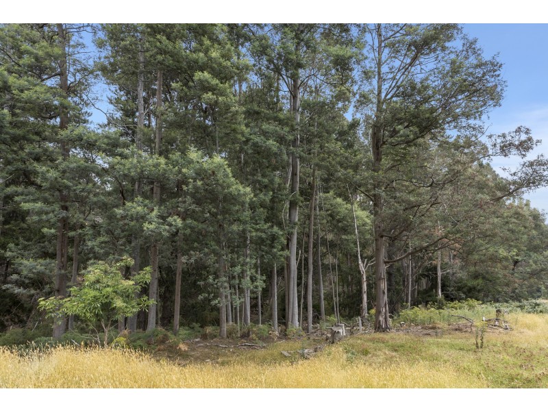 2 Robinsons Road, Highcroft TAS 7183