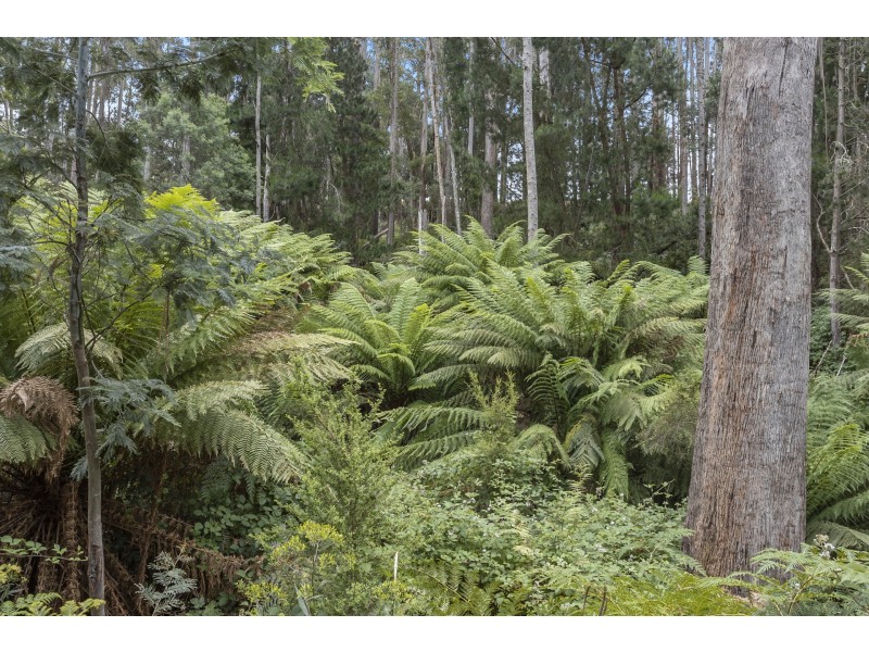 2 Robinsons Road, Highcroft TAS 7183