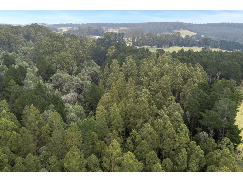 152 Robinsons Road, Highcroft TAS 7183