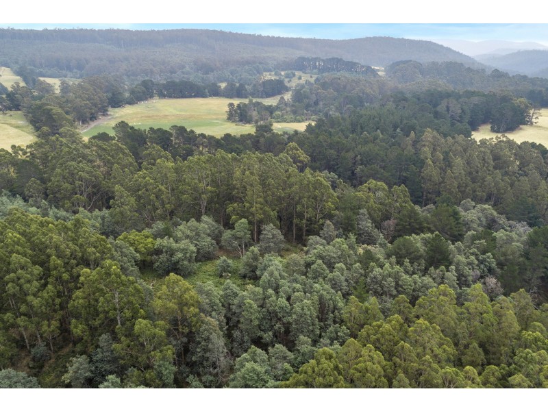 152 Robinsons Road, Highcroft TAS 7183