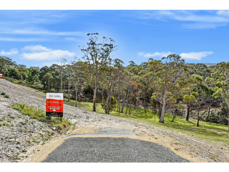 Lot 8 Albert Street, Eaglehawk Neck TAS 7179