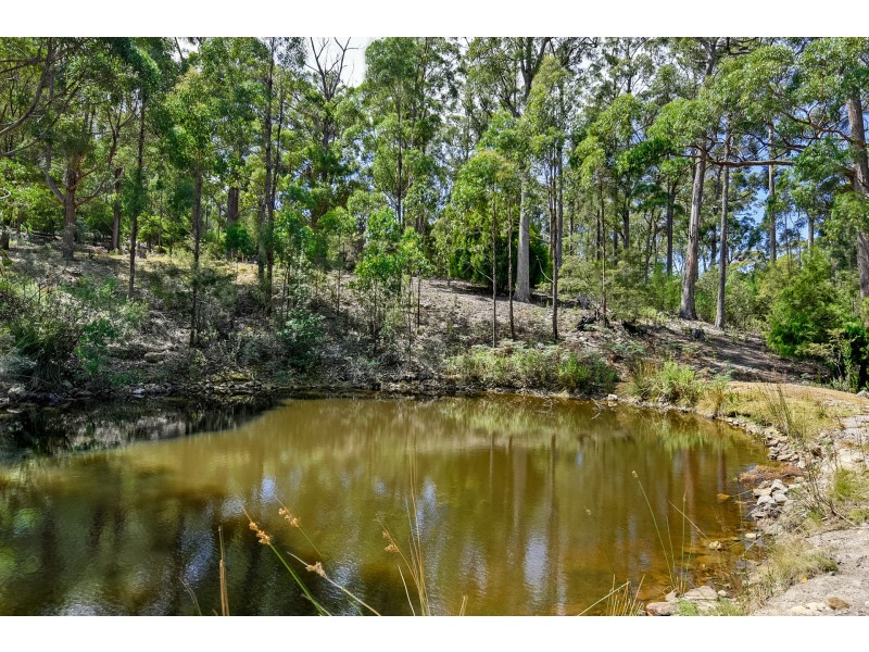 22 Lyndal Drive, Eaglehawk Neck TAS 7179