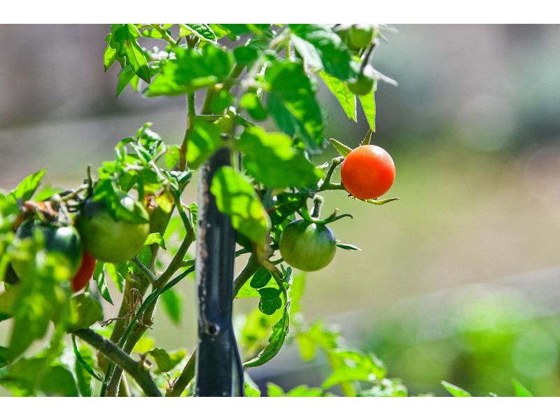 10256 Tasman Highway, Little Swanport TAS 7190