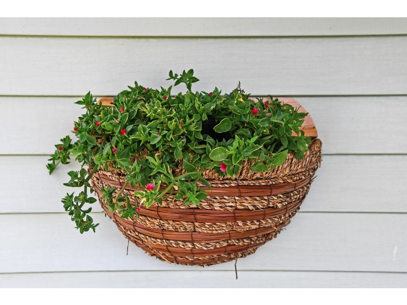 10256 Tasman Highway, Little Swanport TAS 7190