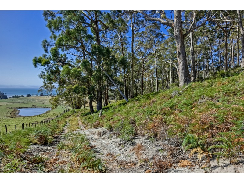 Lot 1 A Jones Rd, Premaydena TAS 7185