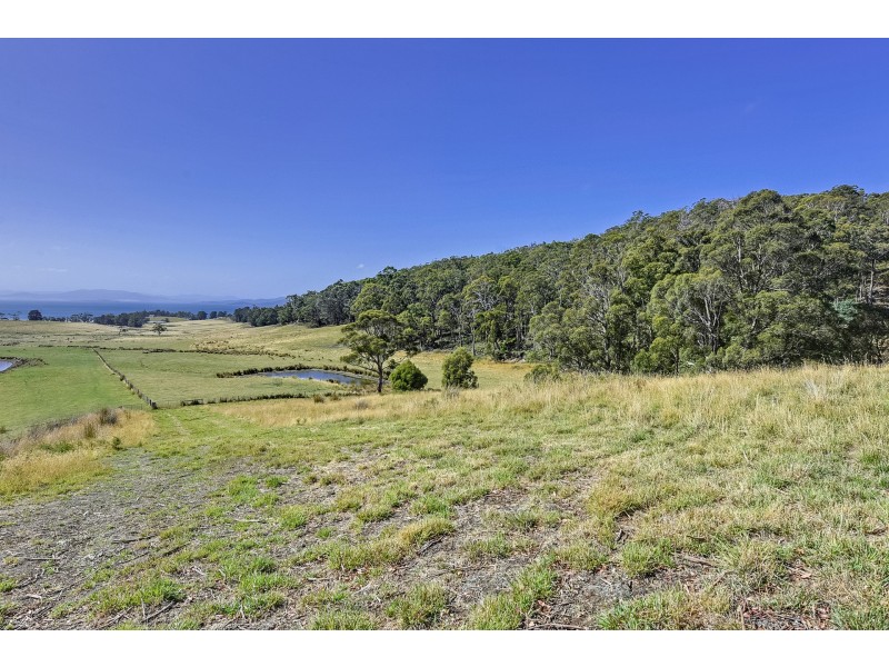 Lot 1 A Jones Rd, Premaydena TAS 7185