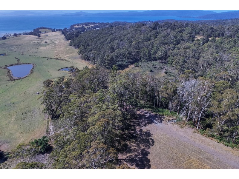 Lot 1 A Jones Rd, Premaydena TAS 7185