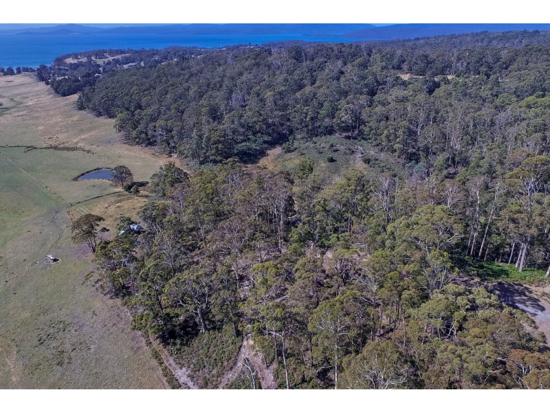 Lot 1 A Jones Rd, Premaydena TAS 7185