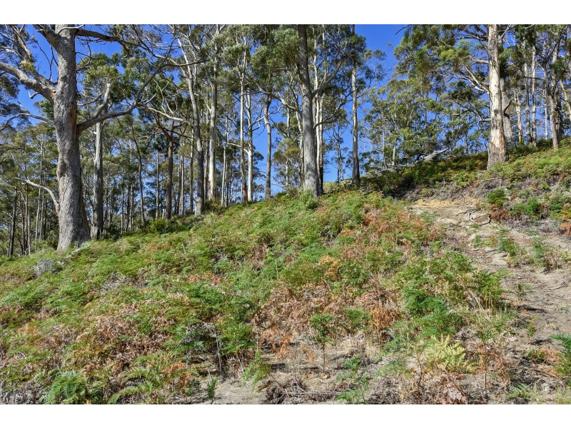 Lot 1 A Jones Rd, Premaydena TAS 7185