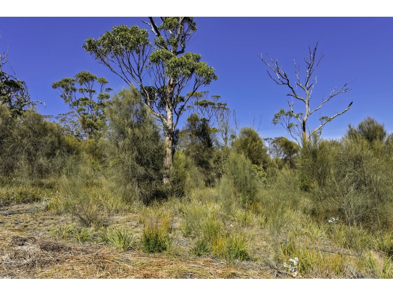 615 White Beach Road, White Beach TAS 7184