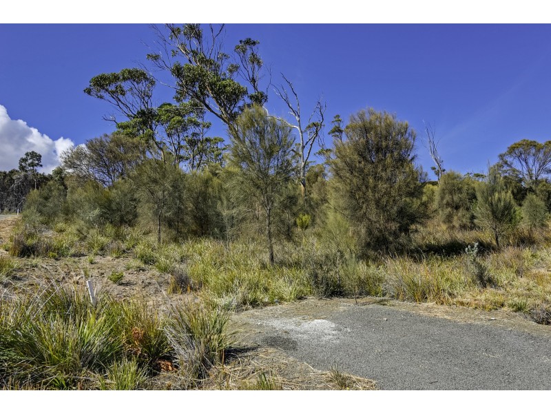 615 White Beach Road, White Beach TAS 7184