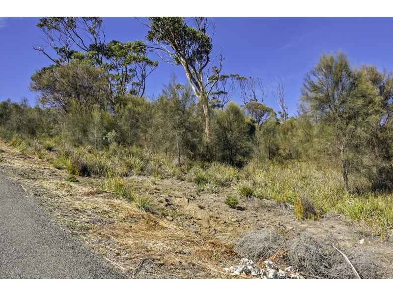 615 White Beach Road, White Beach TAS 7184