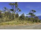 615 White Beach Road, White Beach TAS 7184