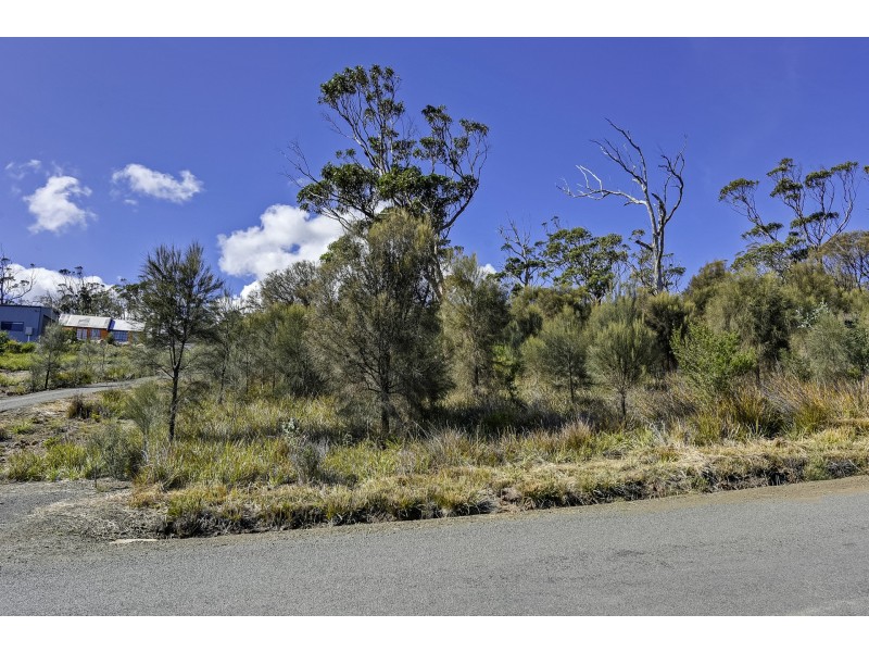 615 White Beach Road, White Beach TAS 7184