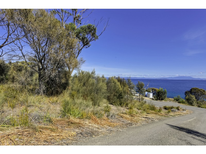 615 White Beach Road, White Beach TAS 7184
