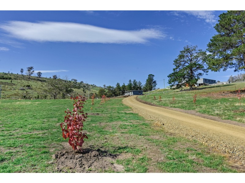 17 Primrose Sands Road, Carlton River TAS 7173