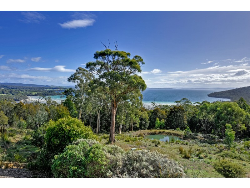 111 Nubeena Road, Taranna TAS 7180