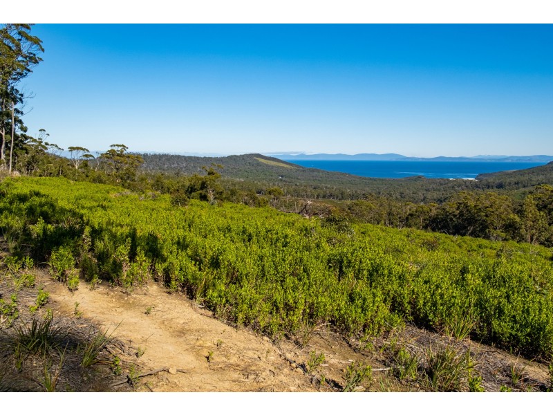 Lot A 390 Hurdle Road, Saltwater River TAS 7186