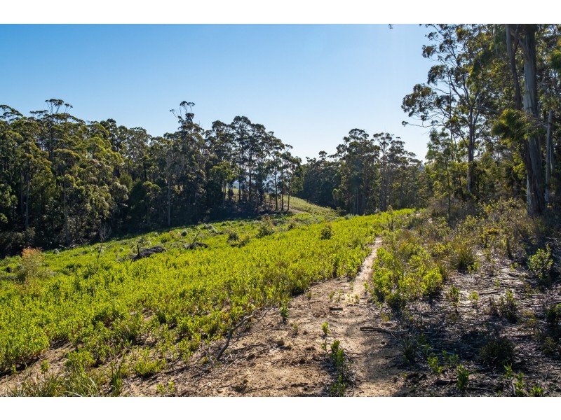 Lot A 390 Hurdle Road, Saltwater River TAS 7186