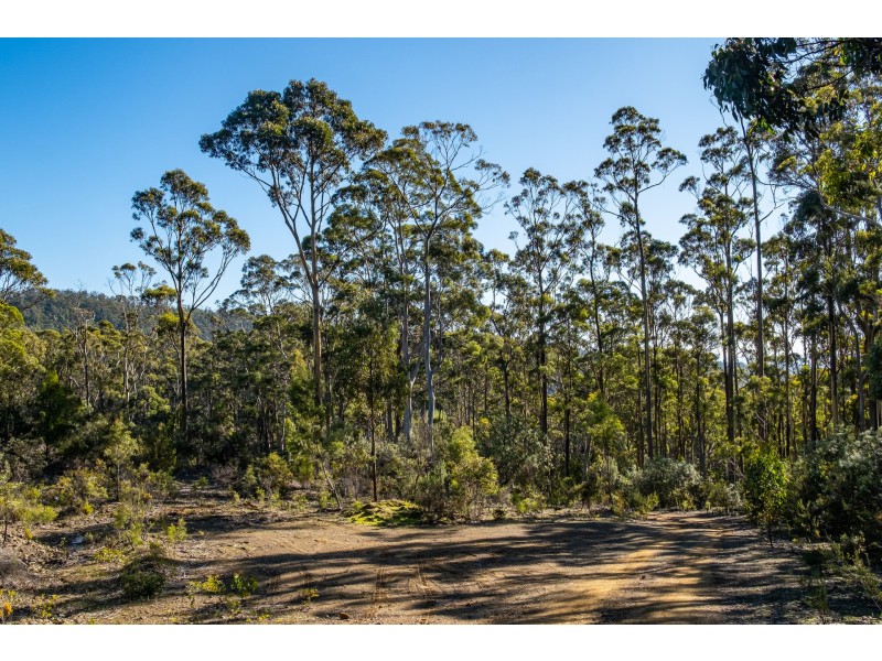 Lot A 390 Hurdle Road, Saltwater River TAS 7186