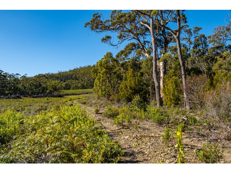 Lot A 390 Hurdle Road, Saltwater River TAS 7186