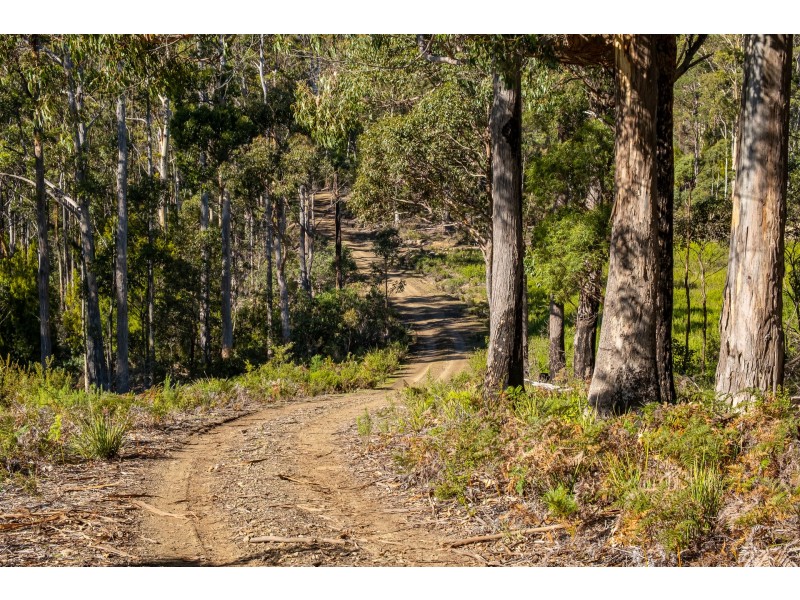 Lot A 390 Hurdle Road, Saltwater River TAS 7186