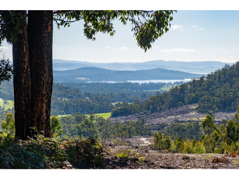 Lot A 390 Hurdle Road, Saltwater River TAS 7186