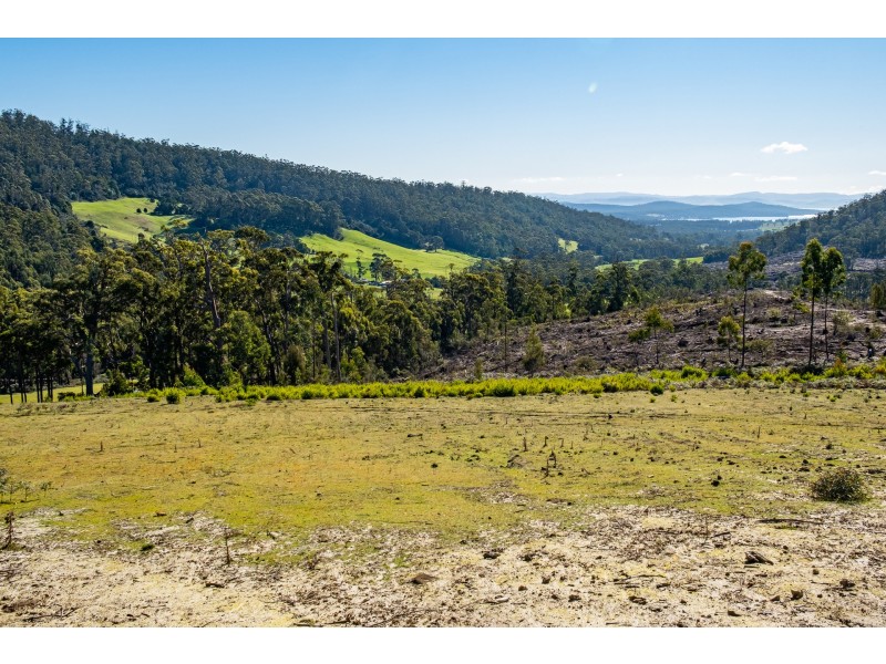 Lot A 390 Hurdle Road, Saltwater River TAS 7186