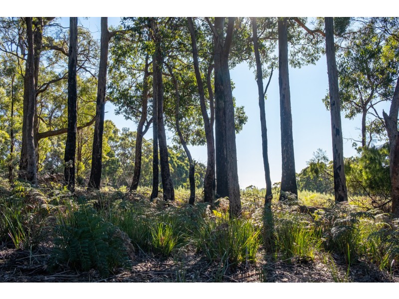 Lot A 390 Hurdle Road, Saltwater River TAS 7186