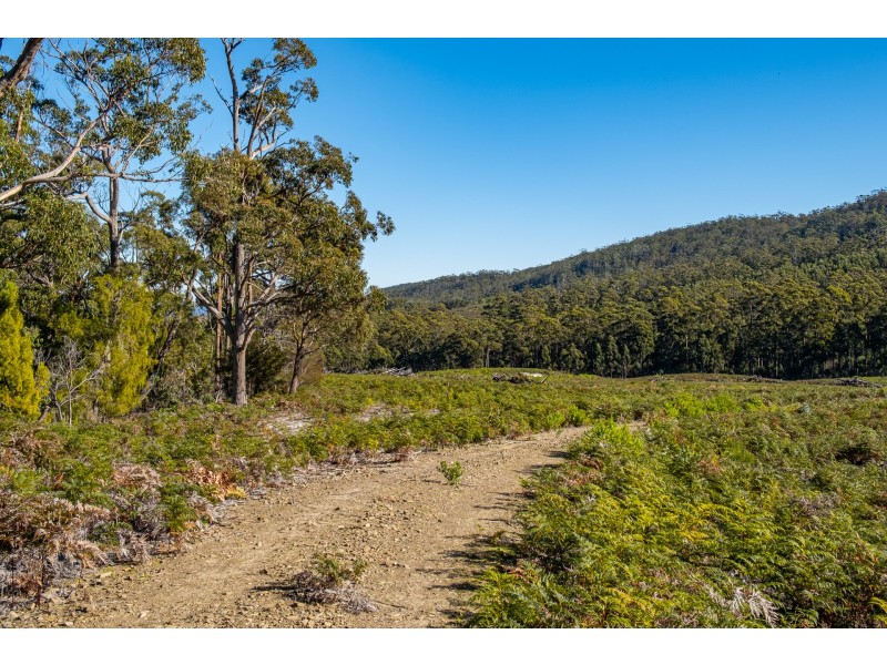 Lot A 390 Hurdle Road, Saltwater River TAS 7186