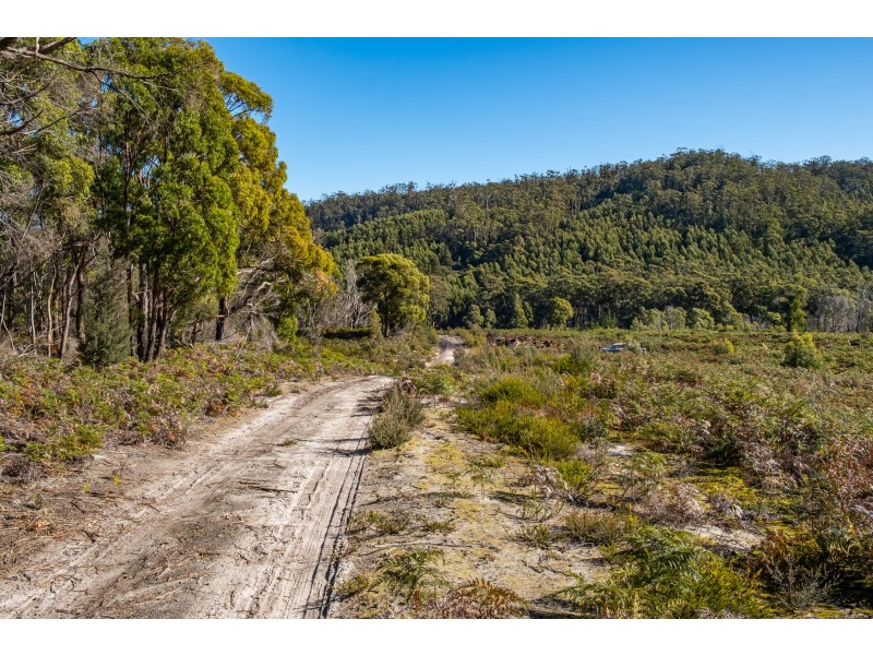 Lot A 390 Hurdle Road, Saltwater River TAS 7186