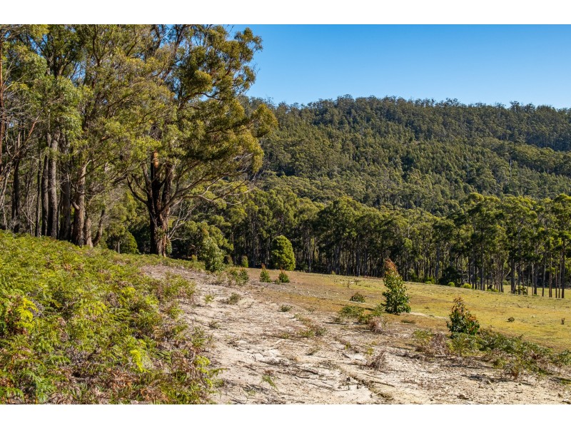 Lot A 390 Hurdle Road, Saltwater River TAS 7186