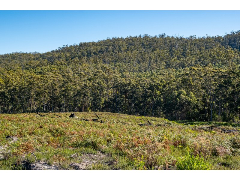 Lot A 390 Hurdle Road, Saltwater River TAS 7186