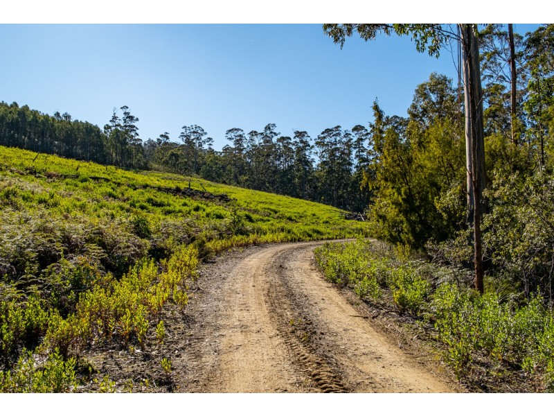 Lot A 390 Hurdle Road, Saltwater River TAS 7186
