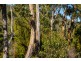 Lot A 390 Hurdle Road, Saltwater River TAS 7186