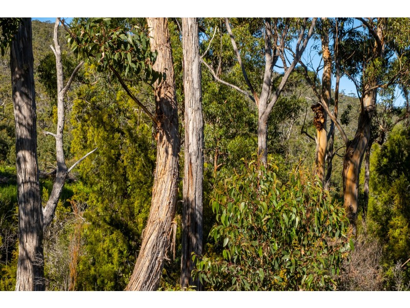 Lot A 390 Hurdle Road, Saltwater River TAS 7186