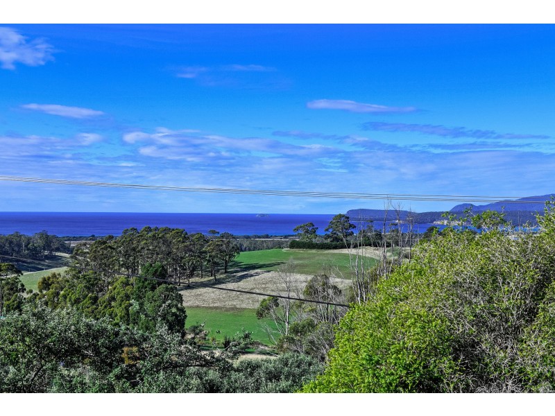 229 Bream Creek Road, Bream Creek TAS 7175