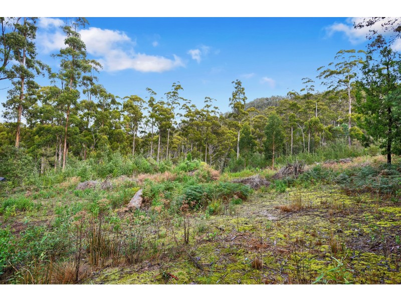 21 Lyndal Drive, Eaglehawk Neck TAS 7179