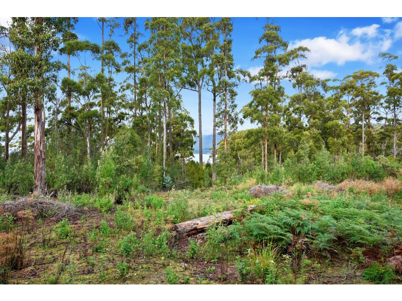 21 Lyndal Drive, Eaglehawk Neck TAS 7179