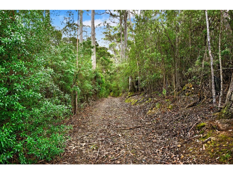 21 Lyndal Drive, Eaglehawk Neck TAS 7179