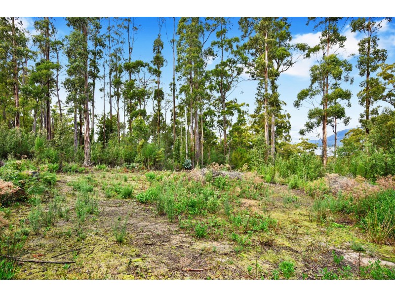 21 Lyndal Drive, Eaglehawk Neck TAS 7179